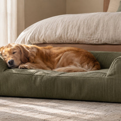 situation — Canapé Lit Orthopédique pour Chien en Mousse à Mémoire de Forme